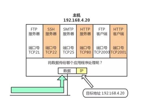 菜鳥系列計算機網絡 TCP 與 UDP 協議深度解析及計算機網絡系統工程實踐